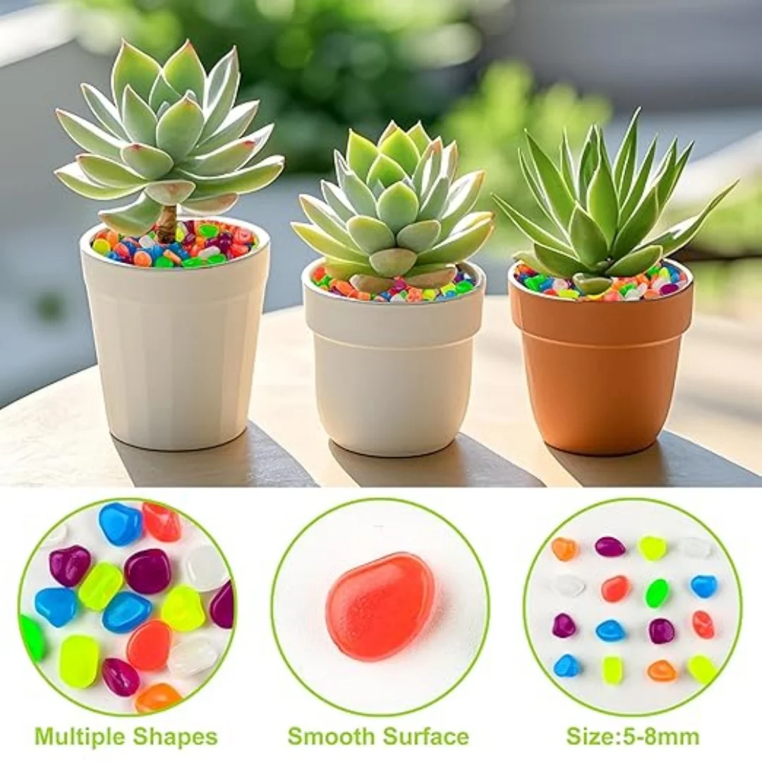 500Pcs Glow in The Dark Garden - Aquarium Fish Land review and price