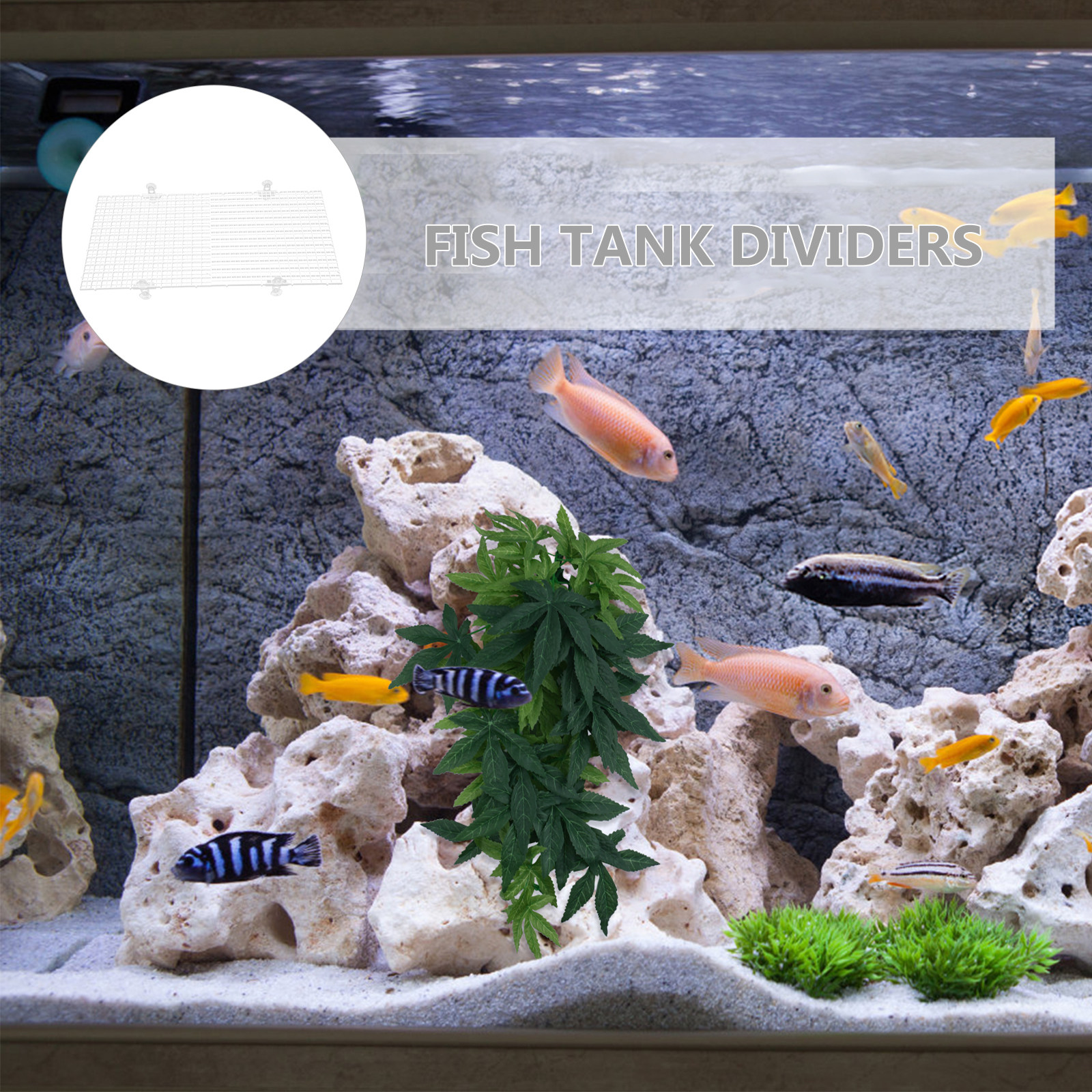 2Pcs Aquarium Divider Tray Pla - Aquarium Fish Reproduction review and price