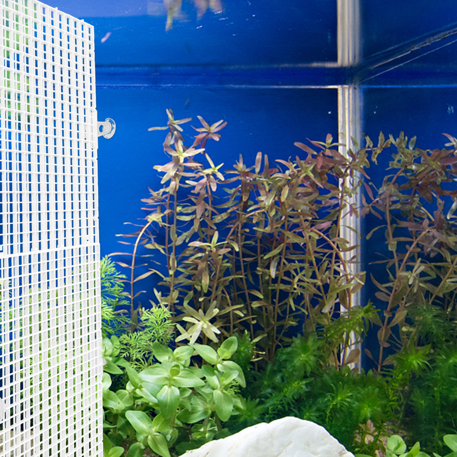 2Pcs Aquarium Divider Tray Pla - Aquarium Fish Reproduction review and price