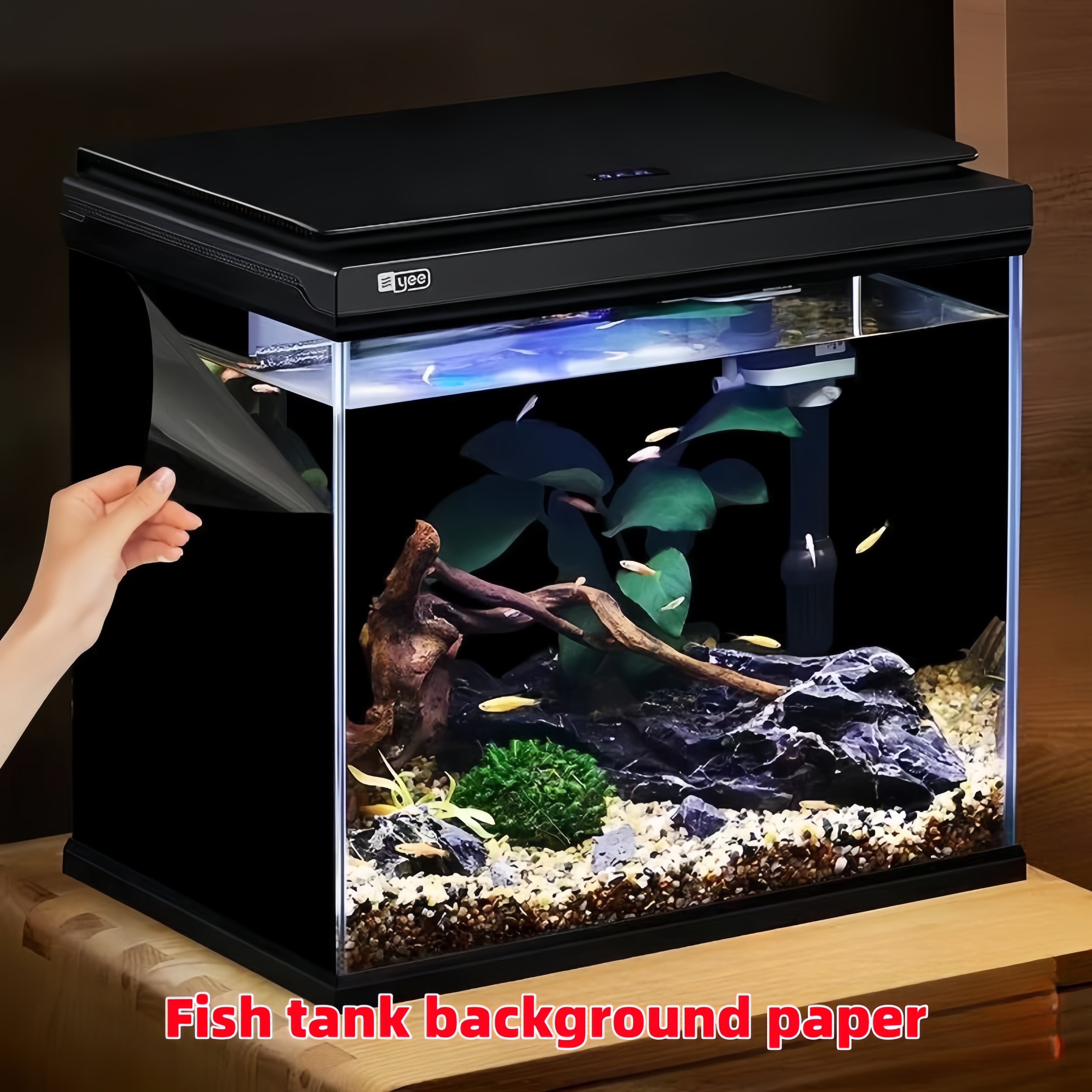 Black Aquarium Background Wall - Aquarium Fish Wallpaper review and price